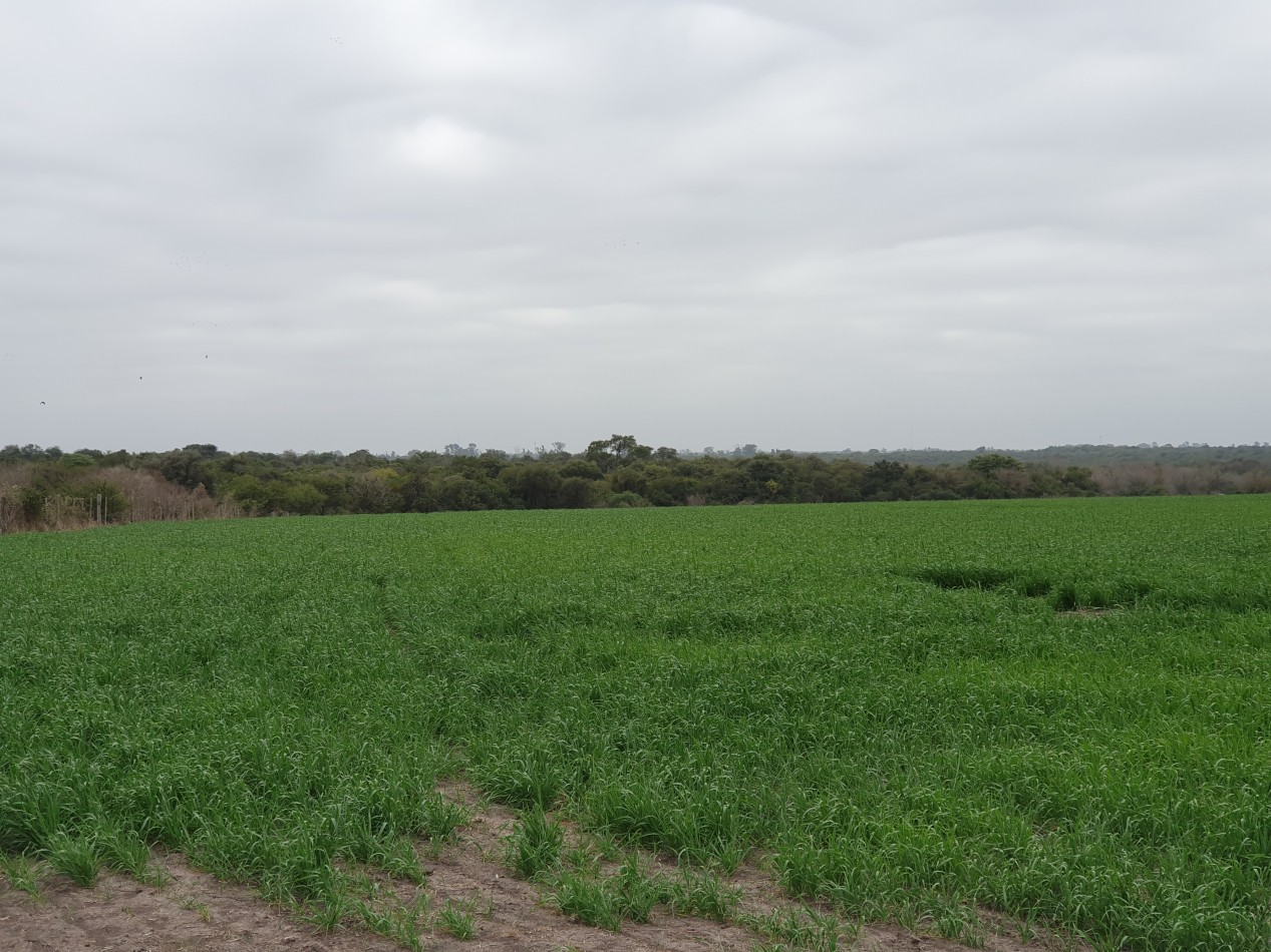 Campo a la venta en La Paz!!