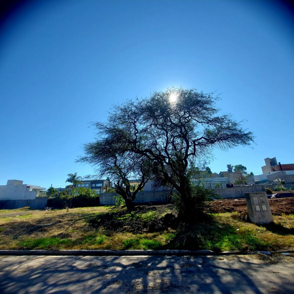 En venta excelentes oportunidades lotes Premium en Rincones del Norte 