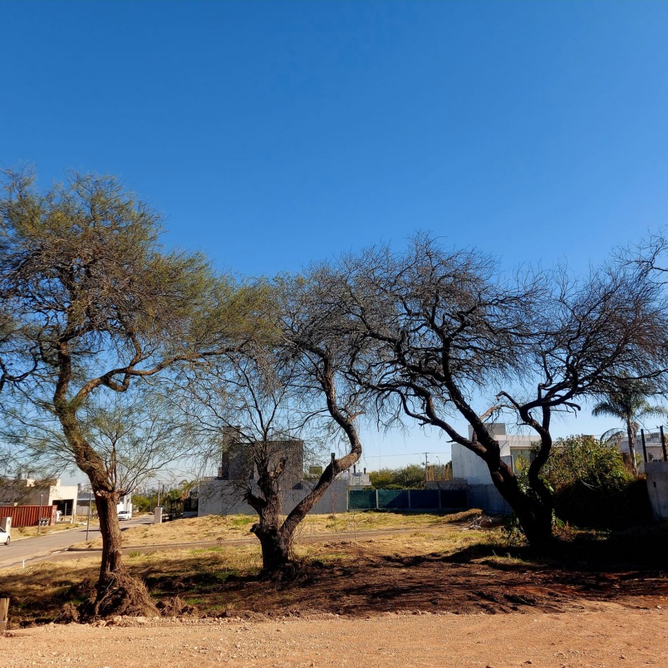 En venta excelentes oportunidades lotes Premium en Rincones del Norte 