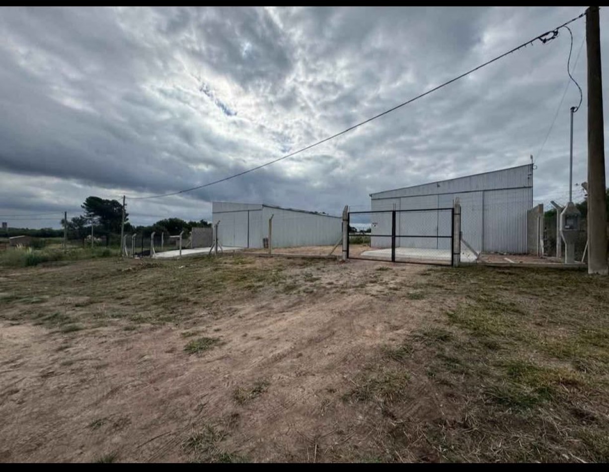 En venta 2 galpones nuevos. 