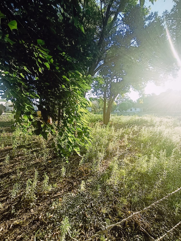 Terreno  de gran tamaño total o dividido excelente zona. 