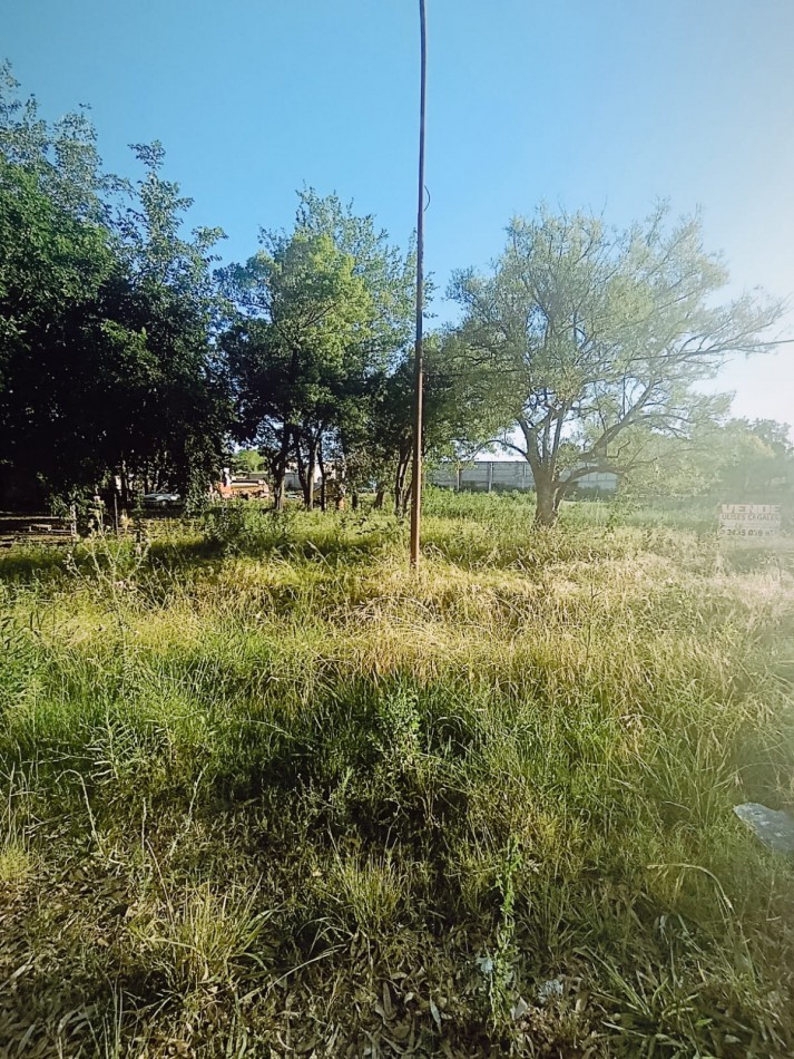 Terreno  de gran tamaño total o dividido excelente zona. 