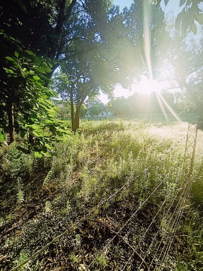 Terreno  de gran tamaño total o dividido excelente zona. 