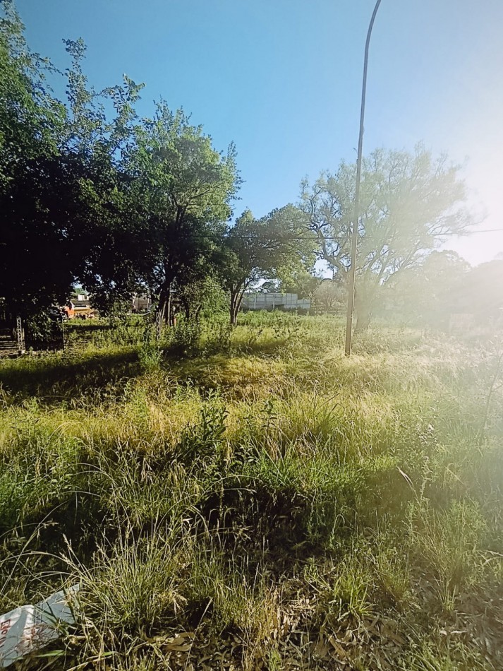 Terreno  de gran tamaño total o dividido excelente zona. 