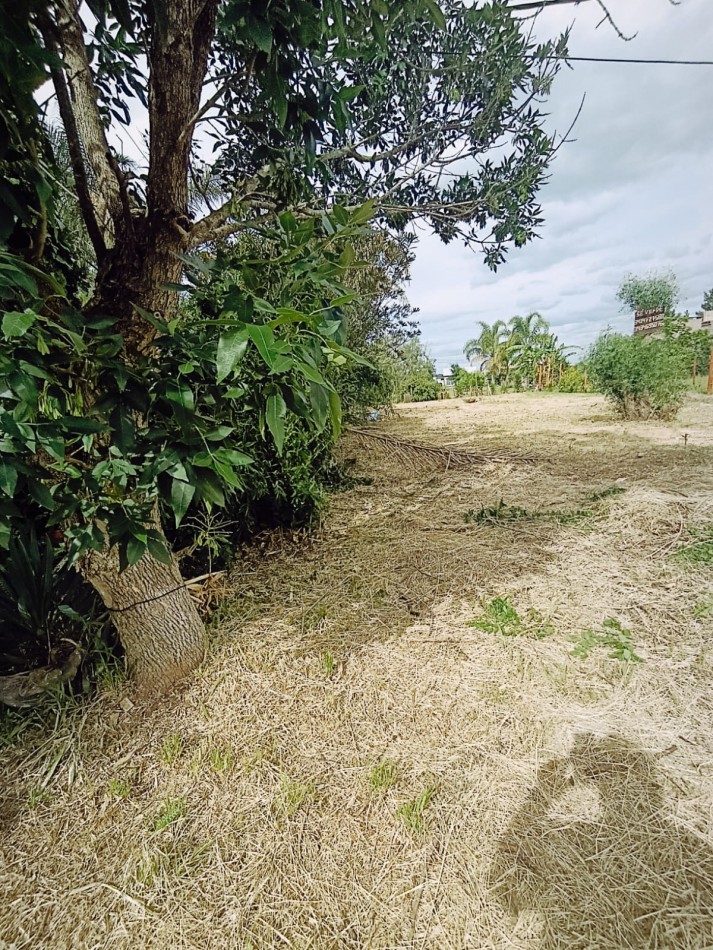 En venta hermoso terreno de 450 metros zona quintas Sauce Montrull