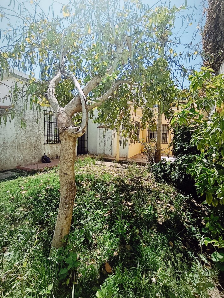 Casa en alquiler ideal oficinas o consultorios consultar por vivienda familiar 