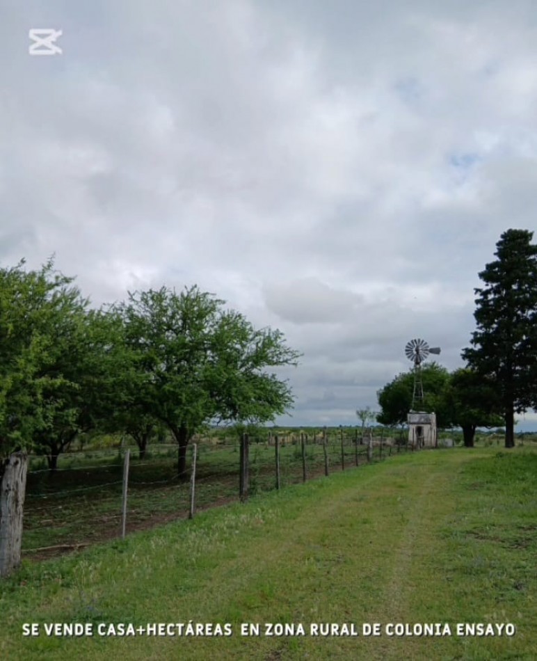 Campo Para Desarrollo Mixto 4.65 Hectareas