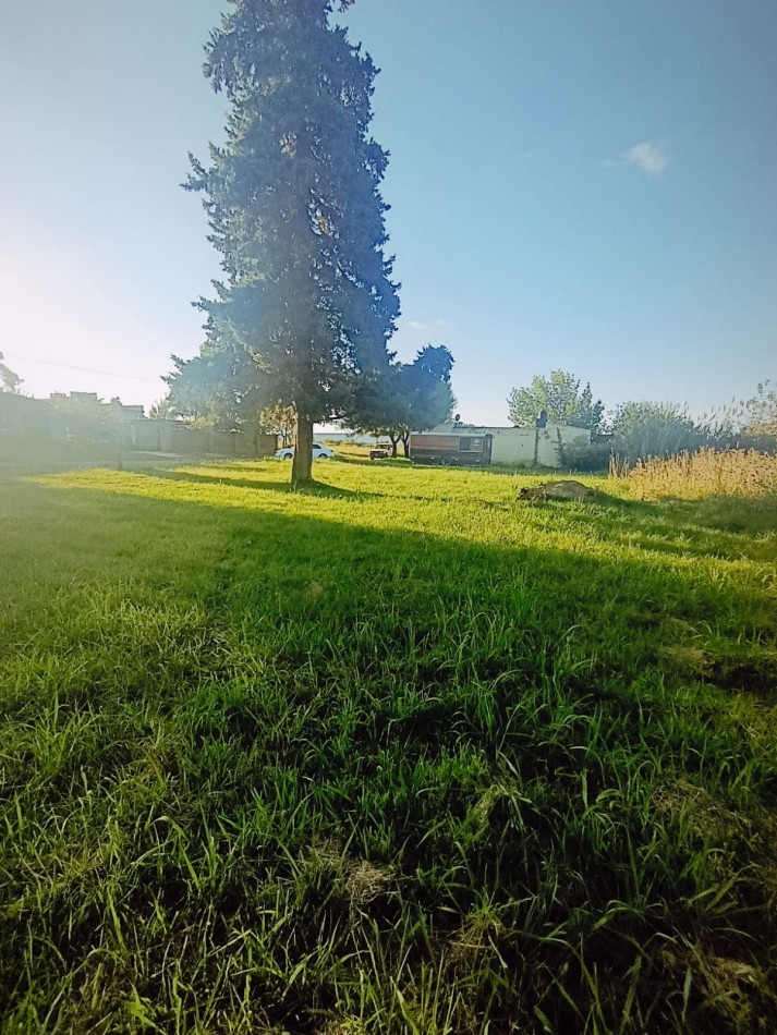 En venta gran terreno ideal casaquinta 1800 metros cuadrados Colonia Avellaneda 