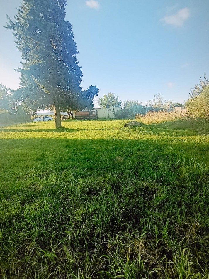 En venta gran terreno ideal casaquinta 1800 metros cuadrados Colonia Avellaneda 