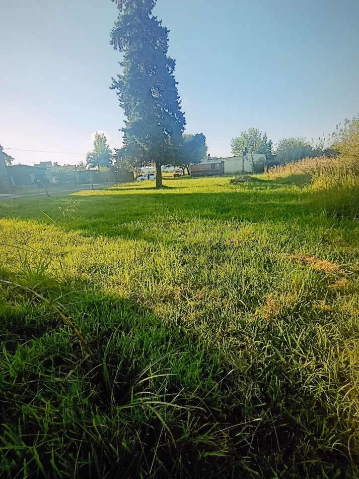 En venta gran terreno ideal casaquinta 1800 metros cuadrados Colonia Avellaneda 