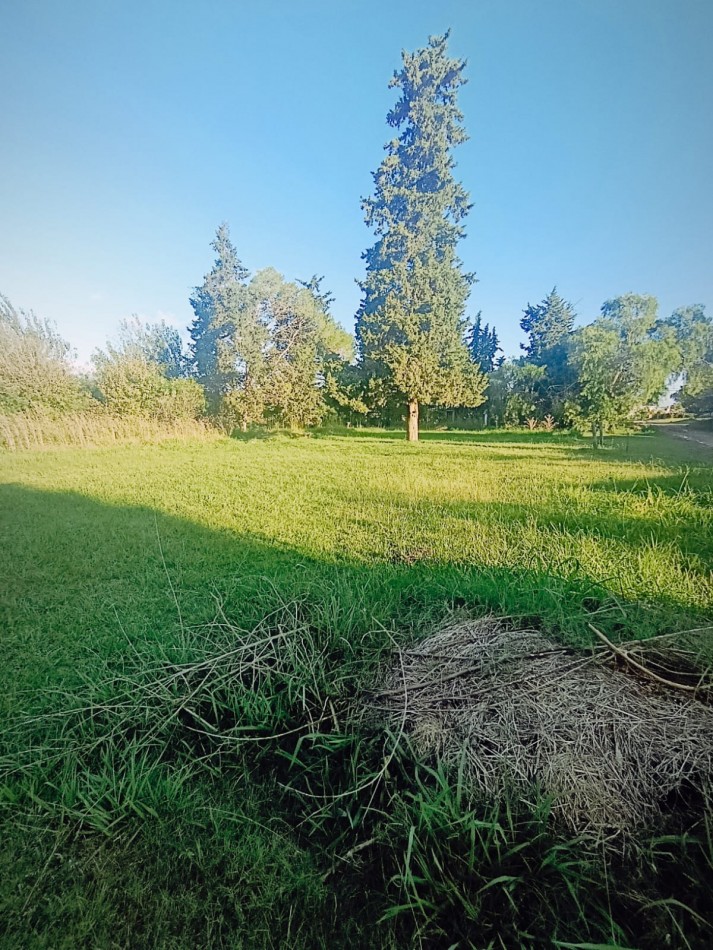 En venta gran terreno ideal casaquinta 1800 metros cuadrados Colonia Avellaneda 