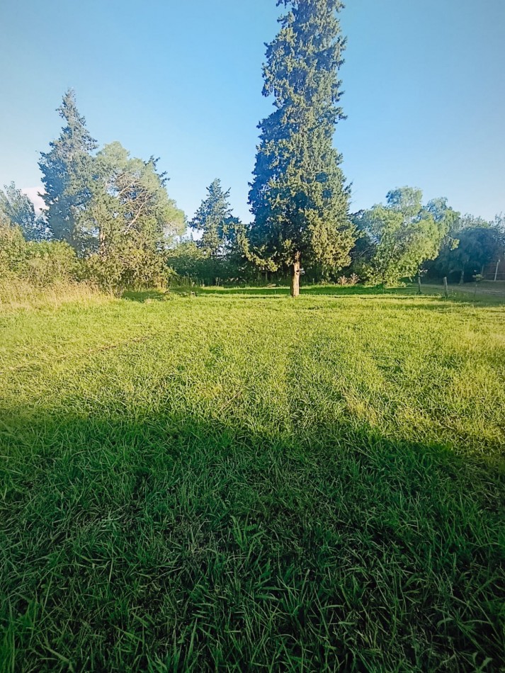 En venta gran terreno ideal casaquinta 1800 metros cuadrados Colonia Avellaneda 