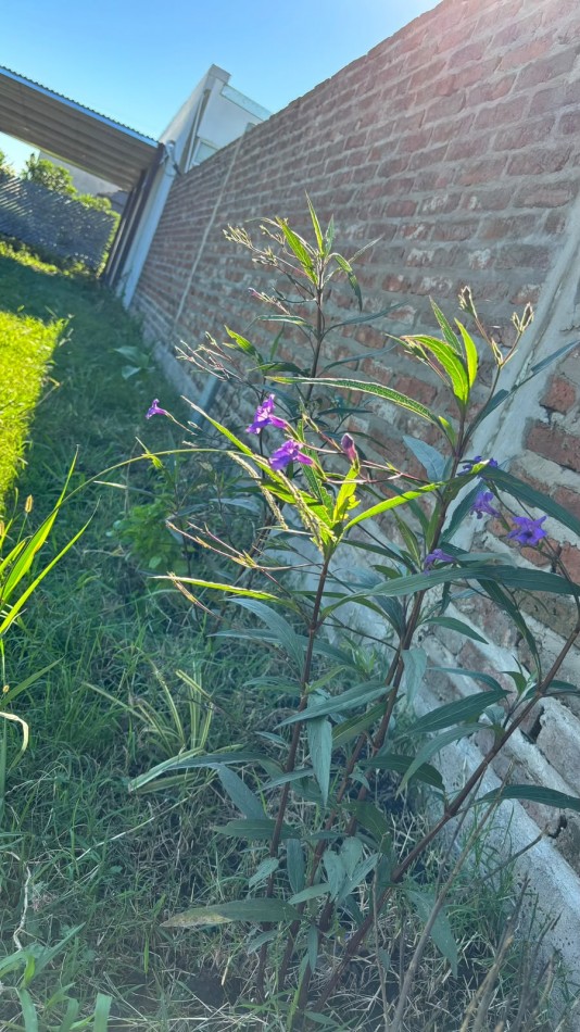 En venta terreno con quincho a terminar y pileta Oportunidad se viene el veranito