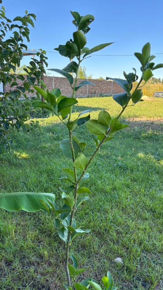 En venta terreno con quincho a terminar y pileta Oportunidad se viene el veranito