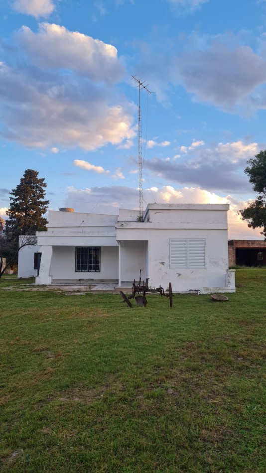 Campo Para Desarrollo Mixto 4.65 Hectareas