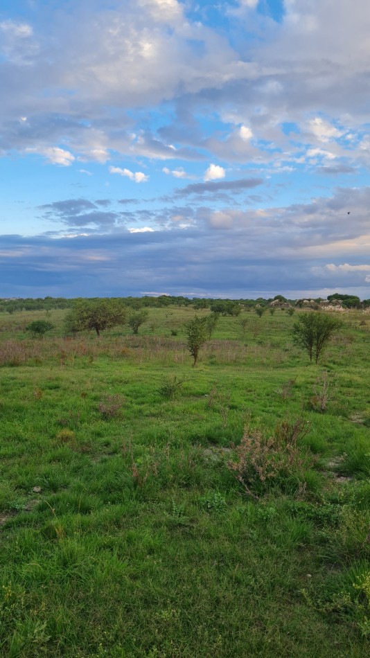 Campo Para Desarrollo Mixto 4.65 Hectareas