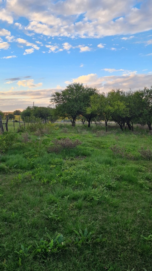 Campo Para Desarrollo Mixto 4.65 Hectareas