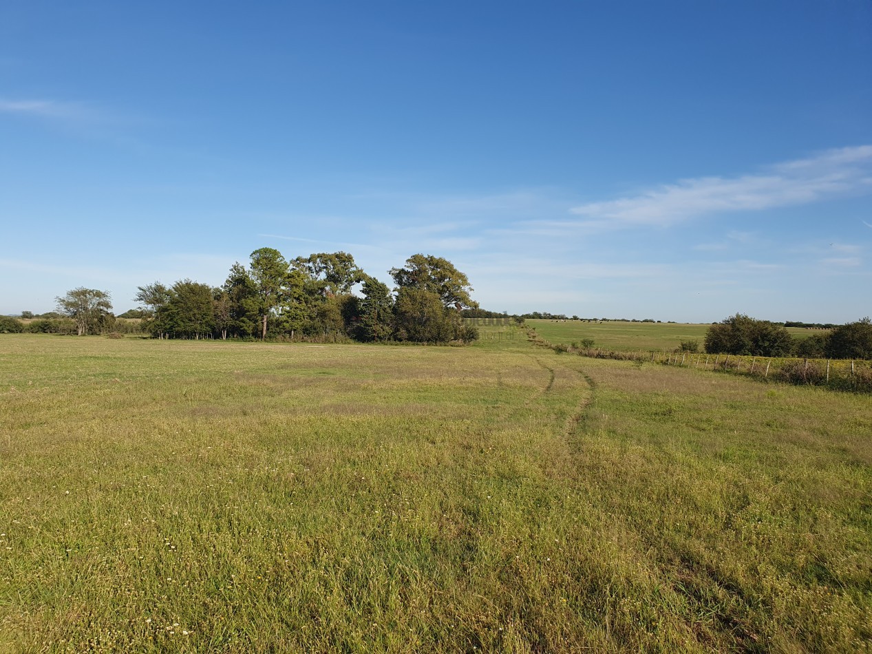 Se vende campo con casa 