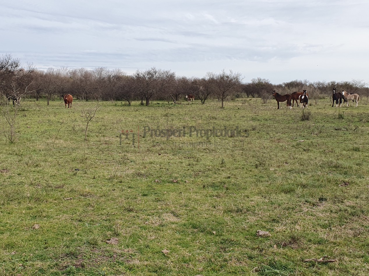 Campo Mixto en venta!!