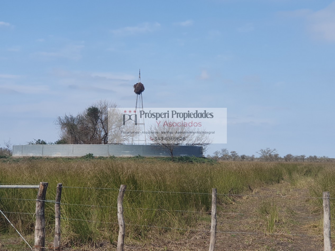 Campo ganadero a la venta