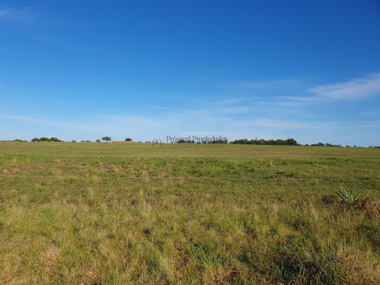 Se vende campo con casa 