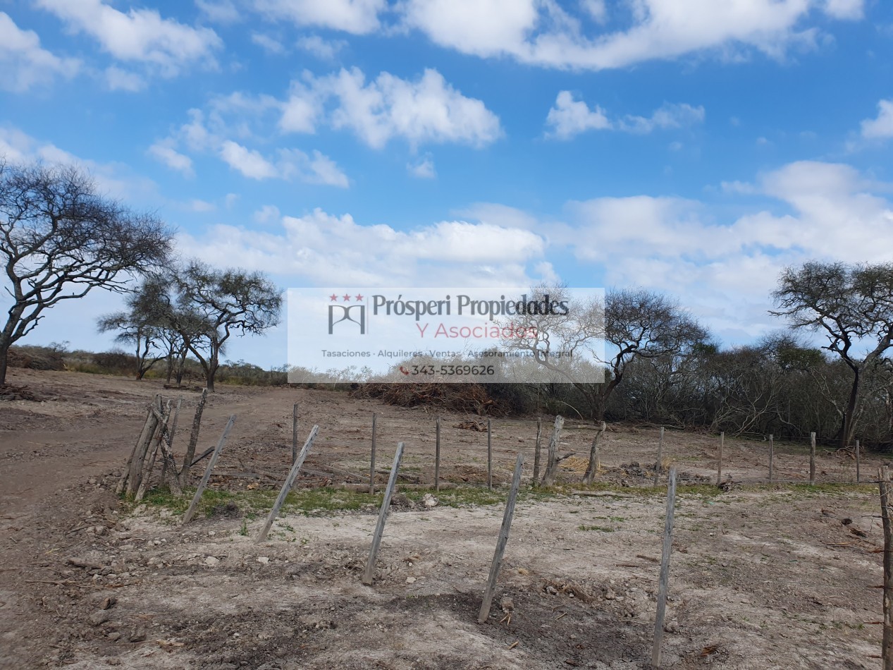 Campo ganadero a la venta