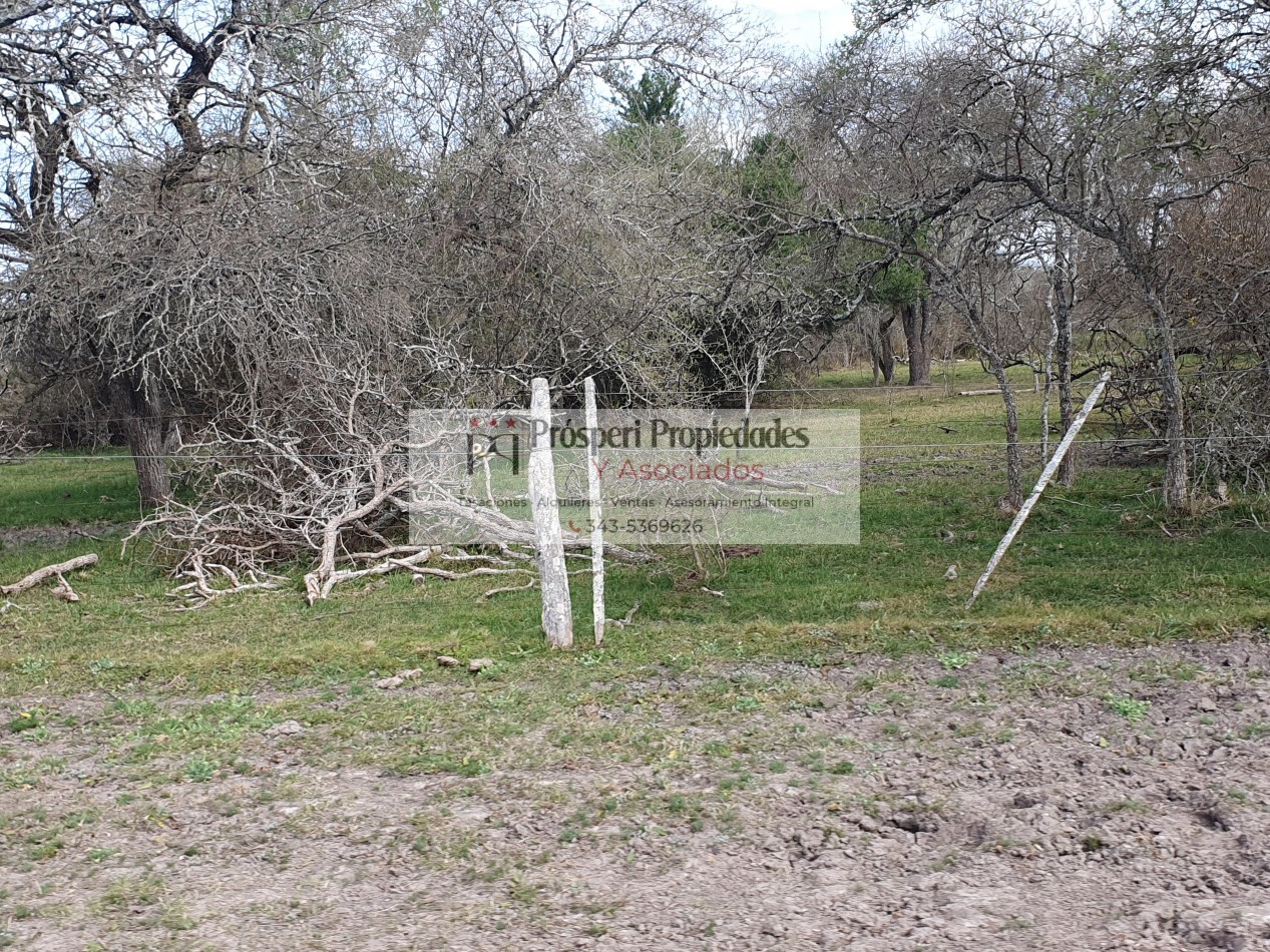 Campo ganadero a la venta