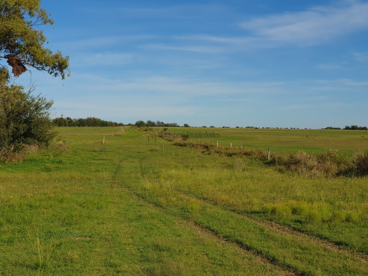 Se vende campo con casa 