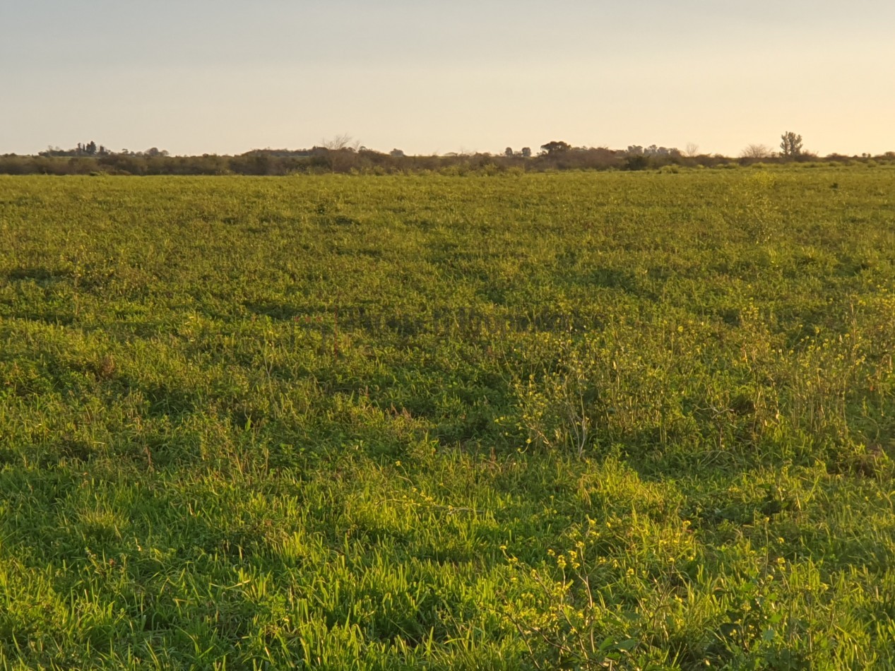 Campo agricola a la venta!!