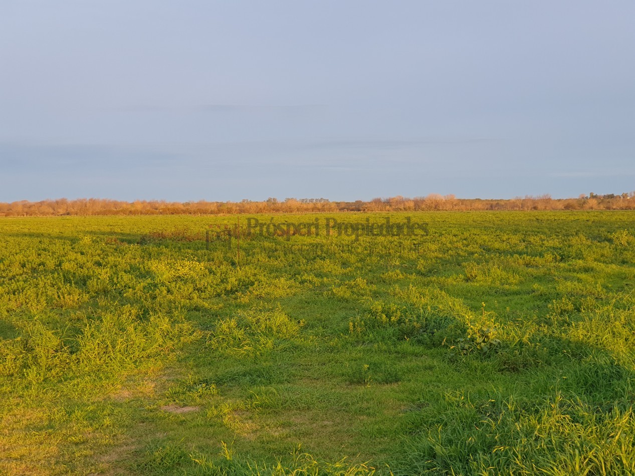 Campo agricola a la venta!!