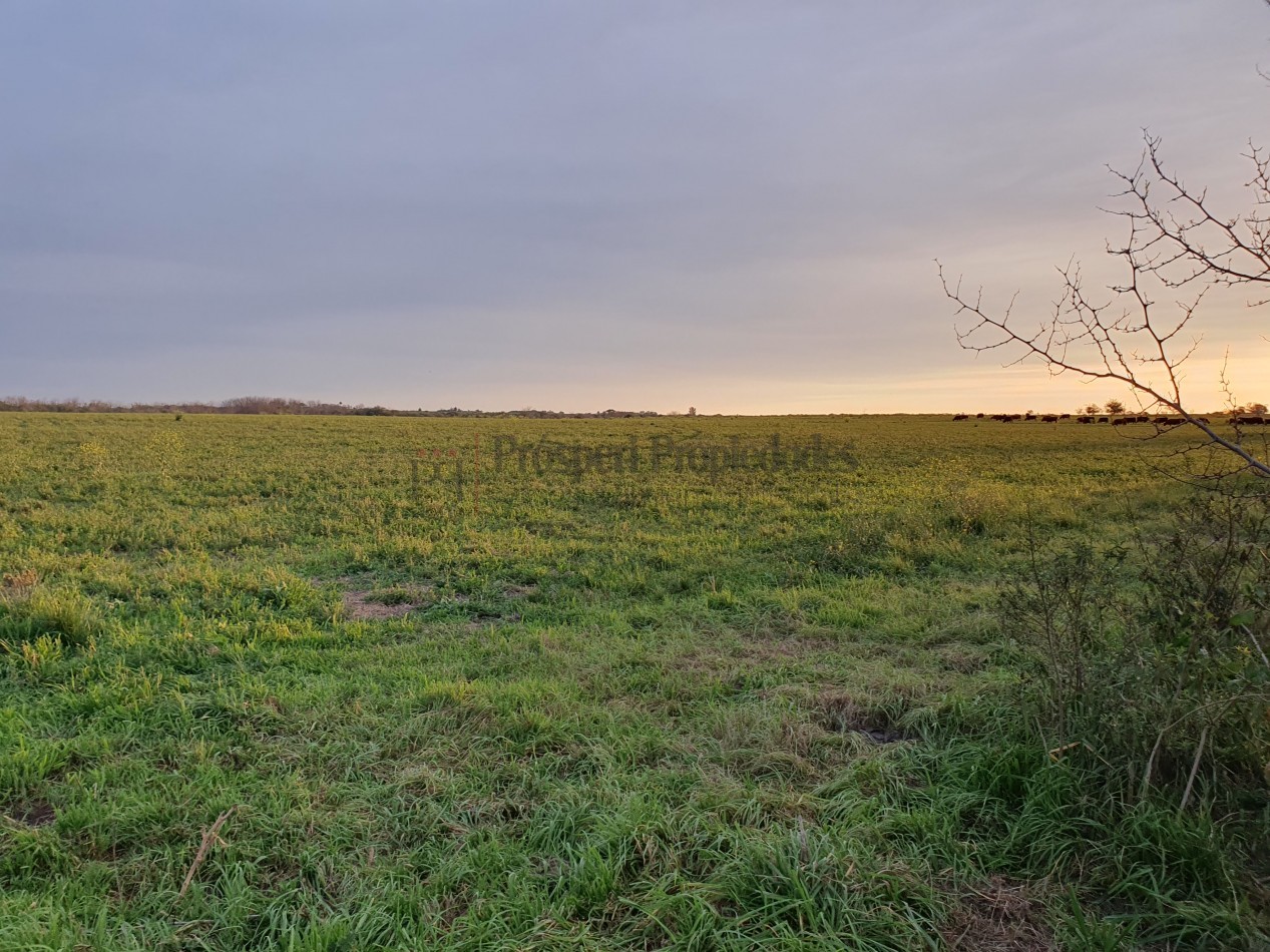 Campo agricola a la venta!!