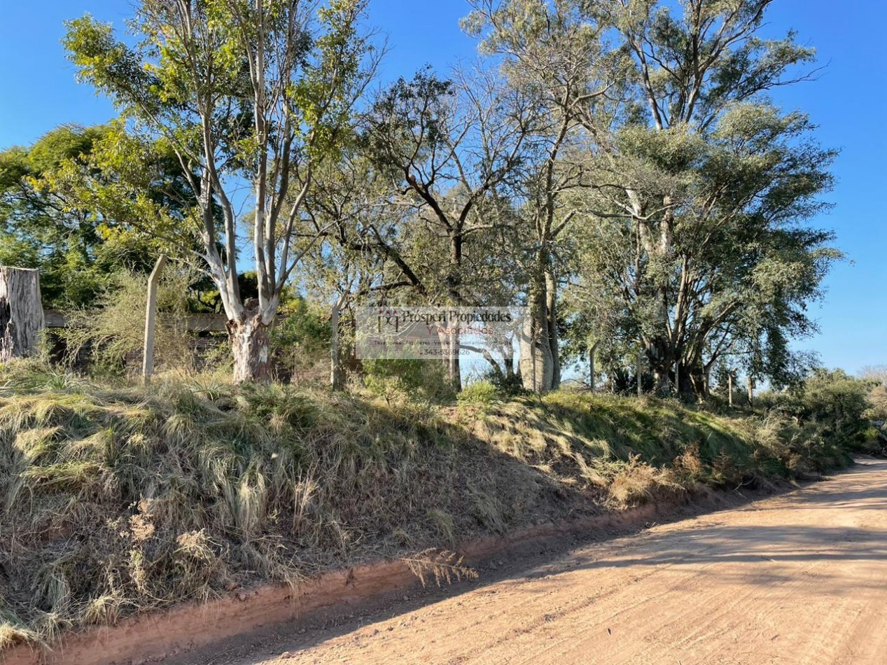 Gran terreno en zona quintas Diamante