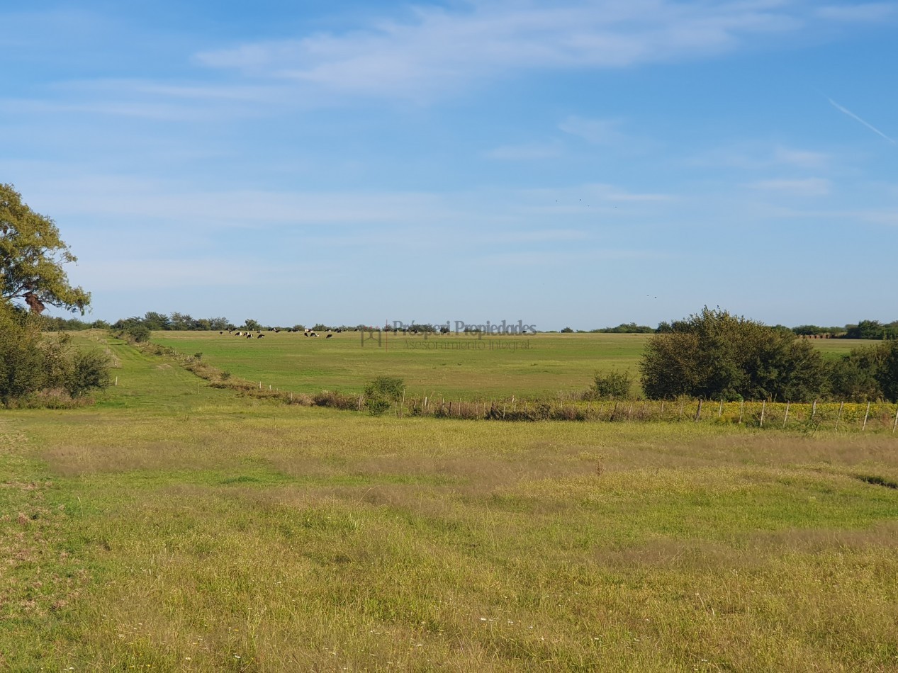 Se vende campo con casa 