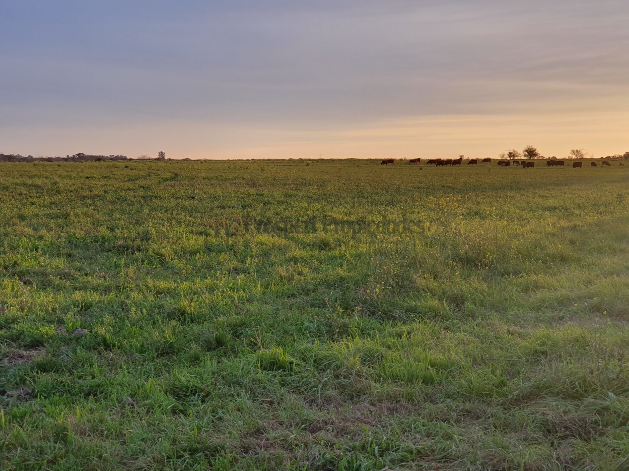 Campo agricola a la venta!!