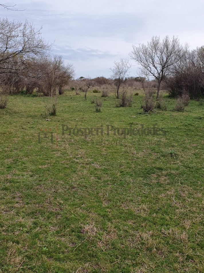 Campo Mixto en venta!!