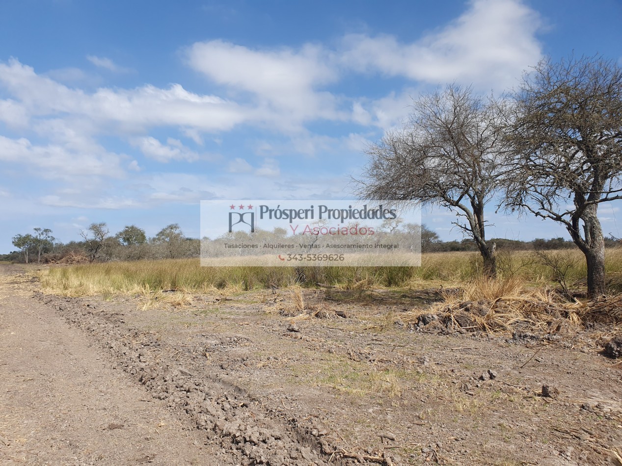 Campo ganadero a la venta