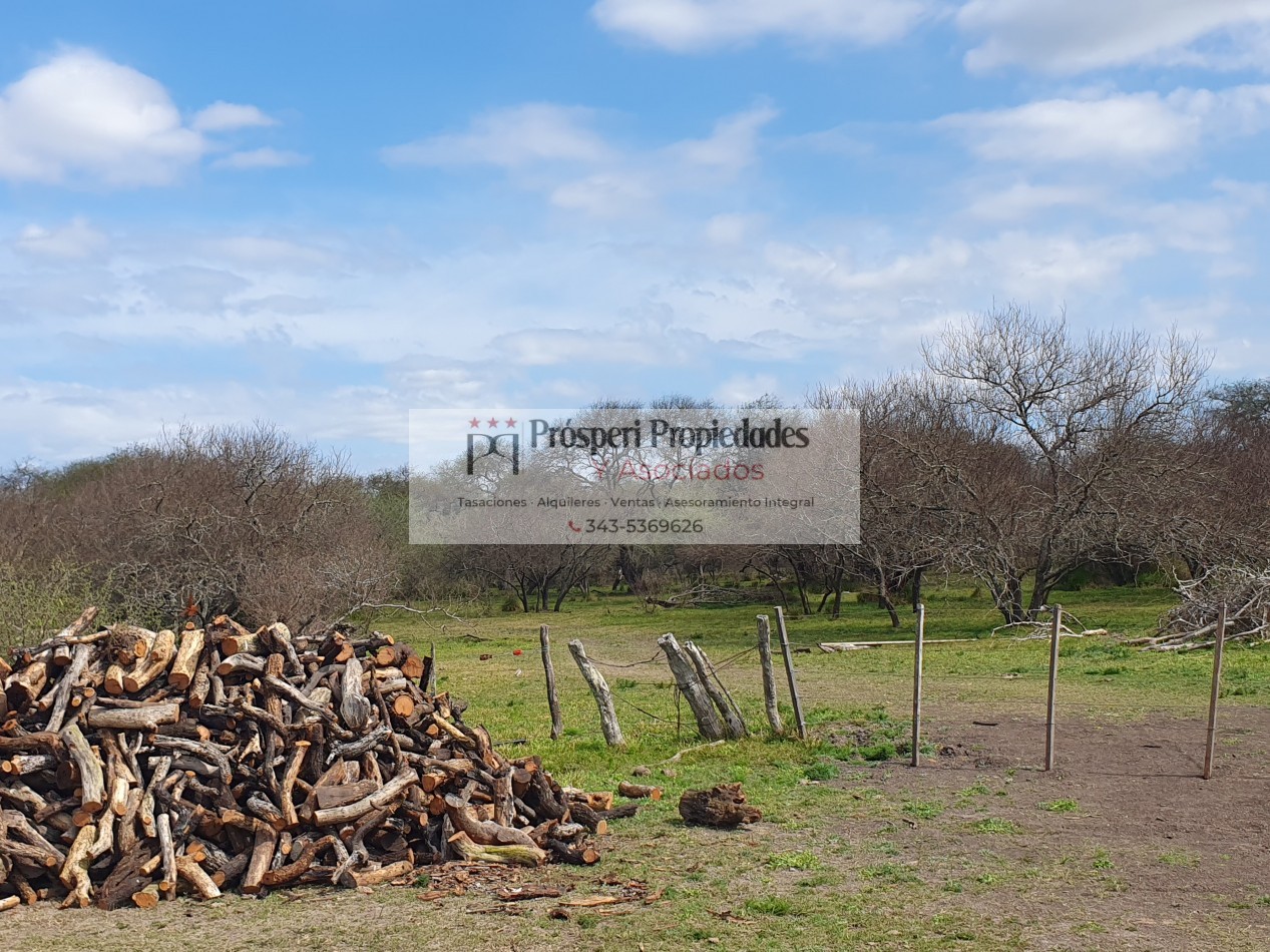 Campo ganadero a la venta