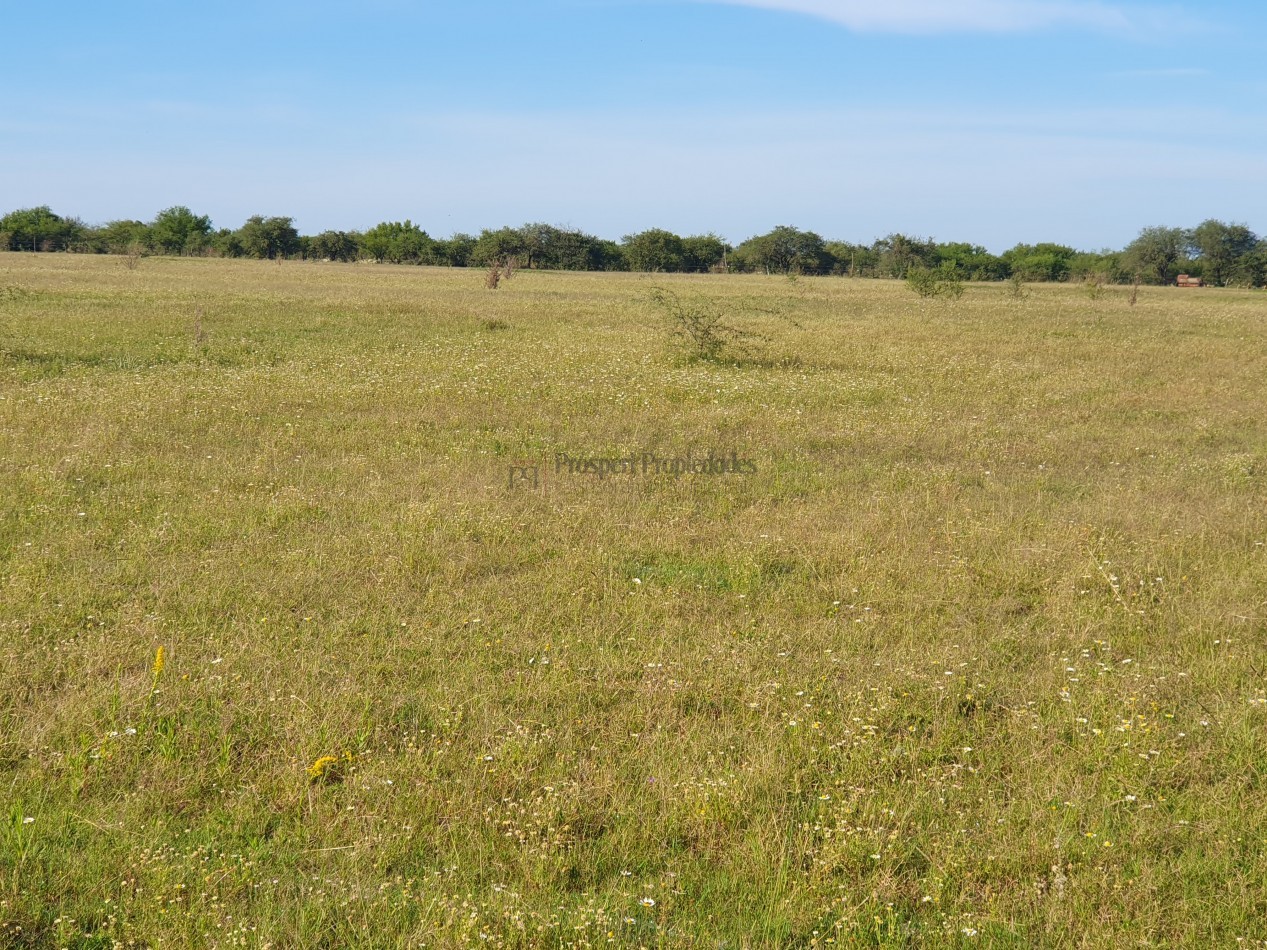 Se vende campo con casa 