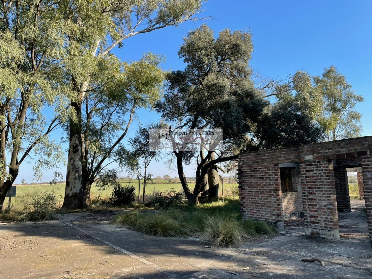 Gran terreno en zona quintas Diamante