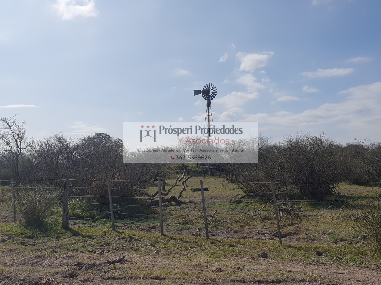 Campo ganadero a la venta