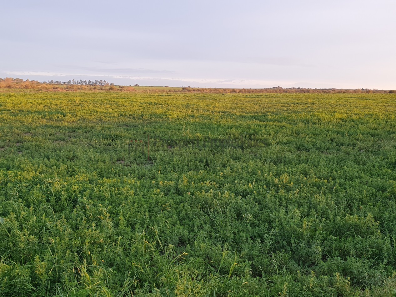 Campo agricola a la venta!!