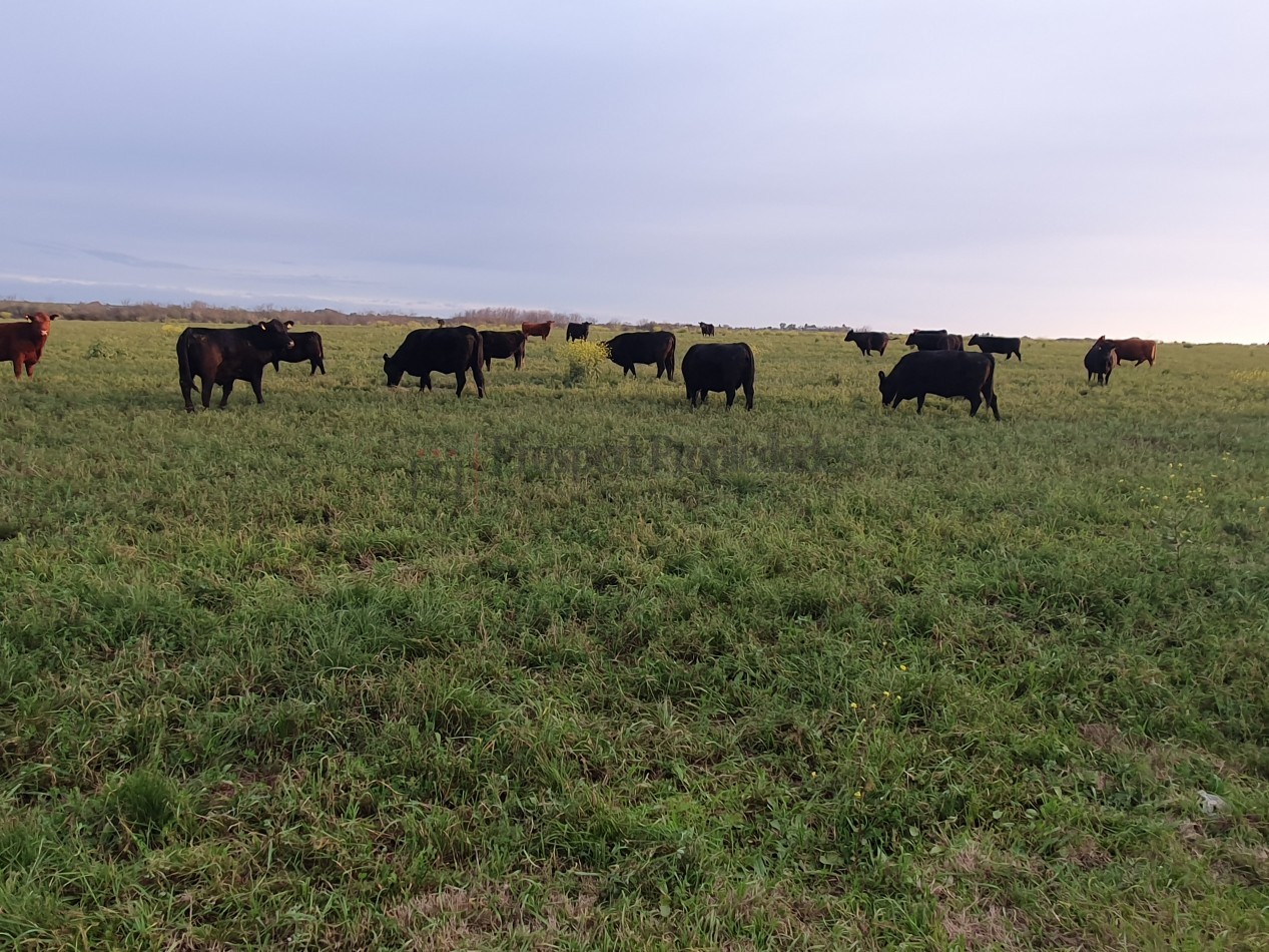 Campo agricola a la venta!!