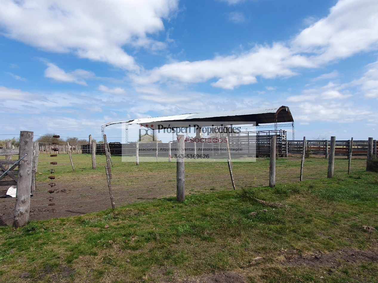 Campo ganadero a la venta