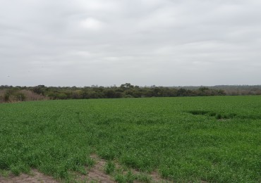 Campo a la venta en La Paz!!