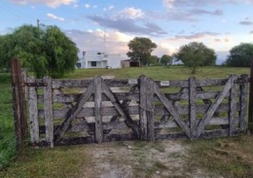 Campo Para Desarrollo Mixto 4.65 Hectareas