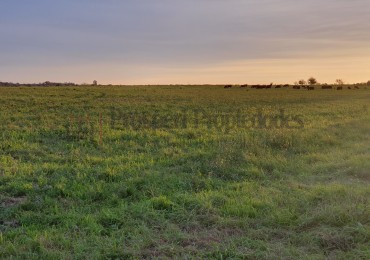 Campo agricola a la venta!!